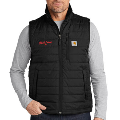 CT102286 - Carhartt Gilliam Vest Thumbnail